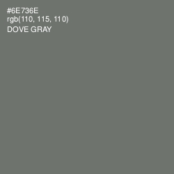 #6E736E - Dove Gray Color Image